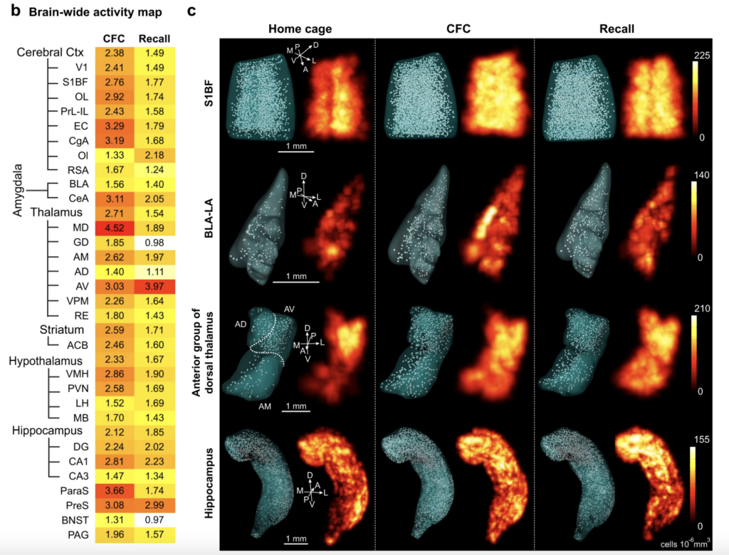 Roy et al. Nature Communications 13, 1799 (2022) - Figure 1